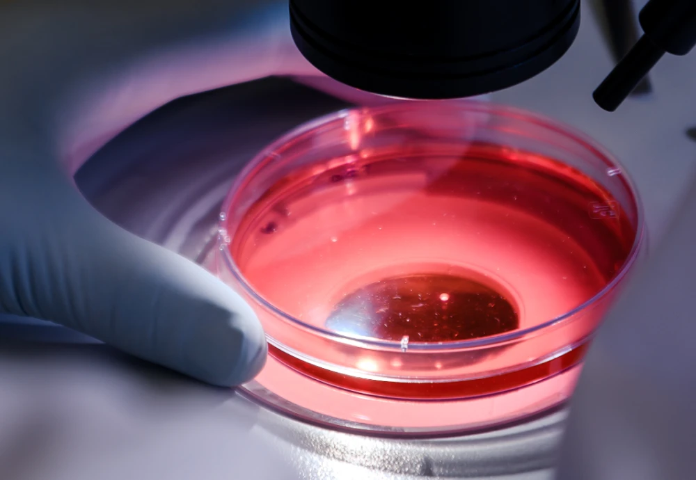 Best Digital Microscope: