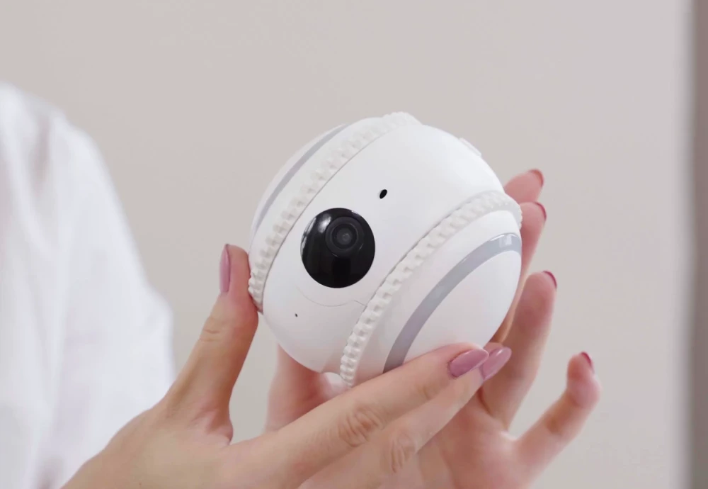 wireless pet camera