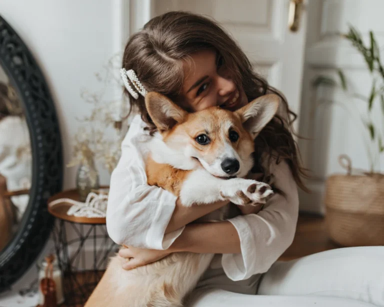 best automatic pet feeder for cats